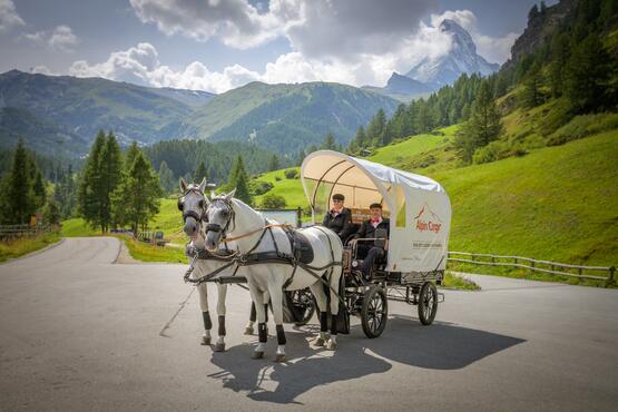 Im autofreien Zermatt liefert neu eine Pferdekutsche Pakete aus.