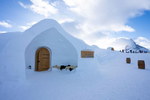 Home of Winter-Iglu