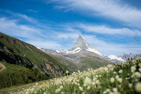 Zermatt Tourism Team