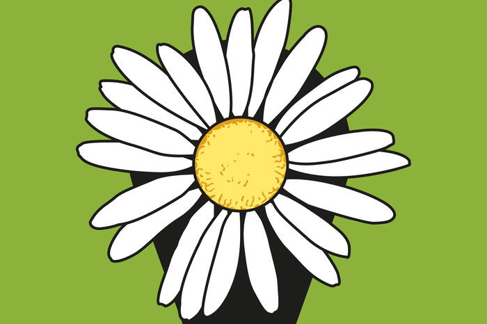 Icon der Flower Walks App.