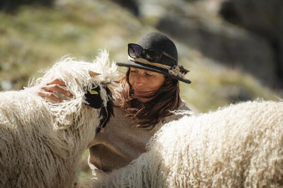 Shepherdess Deborah with the black-nosed sheep in the Gornergrat region