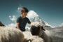 Ein Erlebnis wert: «Meet the Sheep» am Gornergrat